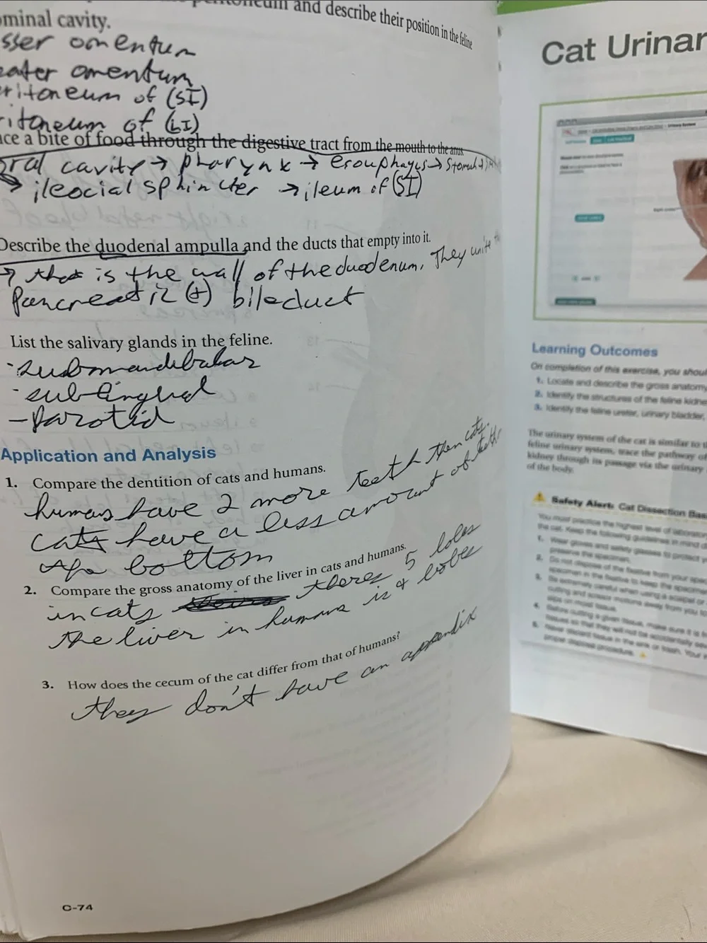 Pearson laboratory manual